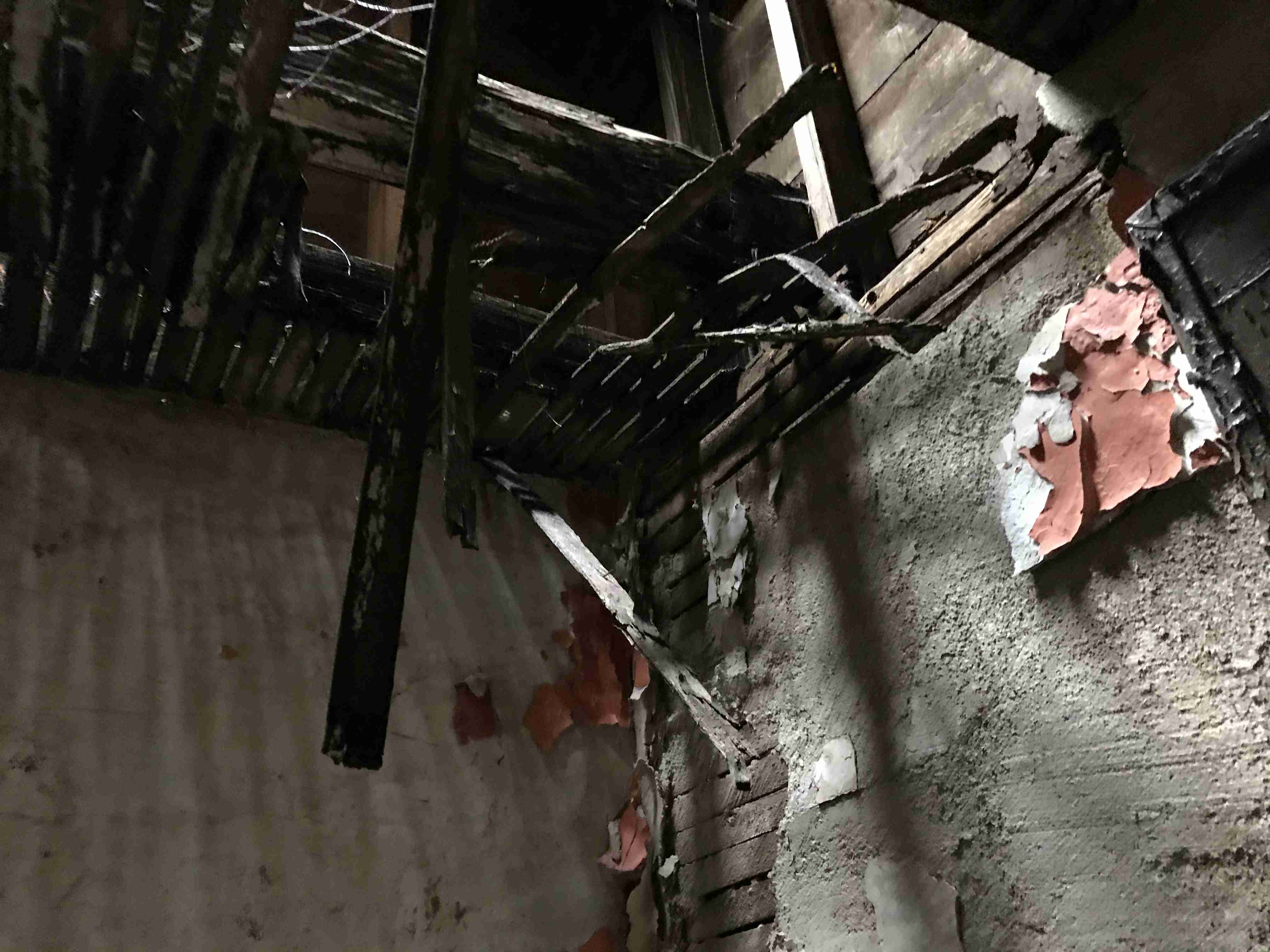 Photo Sep 10, 3 21 15 PM.jpg